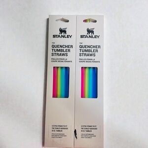 Stanley Quencher Tumbler Straws (2-Pack) - Fits 30oz Tumblers - Brand New!